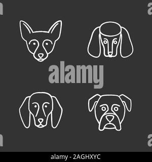 Craie chiens races icons set. Chihuahua, caniche, boxer, beagle. Illustrations vectorielles chalkboard Illustration de Vecteur