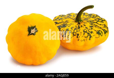 Pattypan chemin squash isolated on white Banque D'Images