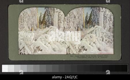 Luna Island, snow bound, Niagara Falls comprend six vues colorés à la main. Robert Dennis Collection de vues stéréoscopiques. Certains points de vue ont un timbre apposé. Titre conçu par cataloger. Vue sur les chutes du Niagara sans attribution ou titre de la série. Vues de Niagara Falls : chutes, rapides, Table Rock, vues d'hiver, ponts, Terrepin Tower, hôtels, les touristes se faisant passer par des chutes, une seule vue de prospect point avec deux chaises vides ; y compris les funambules Blondin sur son dos, baissant la tête à l'envers, et une vue sur des bateaux amarrés à la berge, au-delà de la ville. ; Luna Island, snow bound, Niagara Falls. ; Banque D'Images