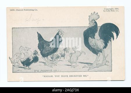 Numéro de série de carte postale : 14078 1905 +. Comprend la 'vie' dessin animé. ; Madame, vous avez joué de moi, caricatures de la vie Banque D'Images