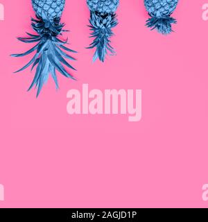 Dans les tons bleus avec créativité les ananas au pink chute solide avec place pour le texte. Moderne à la mode duotone arrière-plan. Square Banque D'Images