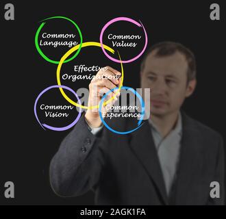 Des organisations efficaces Banque D'Images