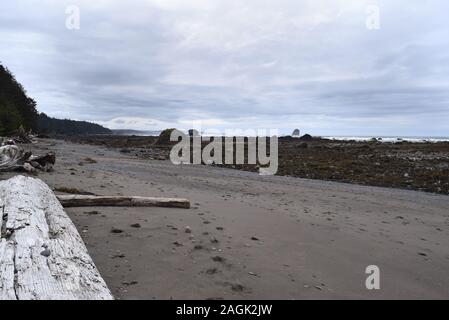 Vue sur la mer dans le nord-ouest de la côte rocheuse de Washington. Pris sur le sentier Triangle Ozette, un dayhike dans le parc national Olympic. Banque D'Images