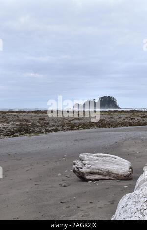 Vue sur la mer dans le nord-ouest de la côte rocheuse de Washington. Pris sur le sentier Triangle Ozette, un dayhike dans le parc national Olympic. Banque D'Images