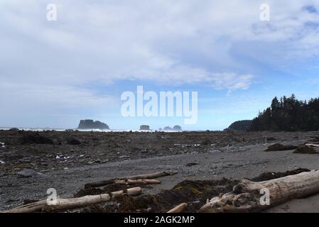 Vue sur la mer dans le nord-ouest de la côte rocheuse de Washington. Pris sur le sentier Triangle Ozette, un dayhike dans le parc national Olympic. Banque D'Images