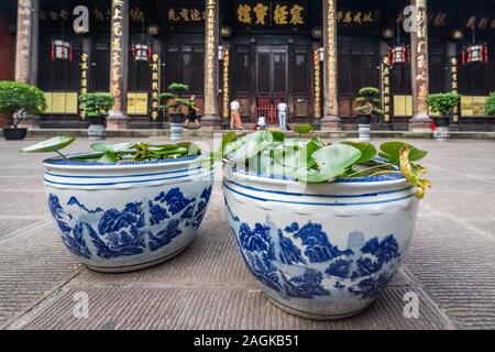 Chengdu, Chine - Juillet 2019 : Plantes et fleurs dans la cour de la Buddhist monastère de Wenshu, province du Sichuan Banque D'Images