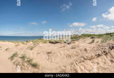 Dunes de sable et plage vide à Tylosand, Halmstad, Halland, Suède, Scandinavie Banque D'Images