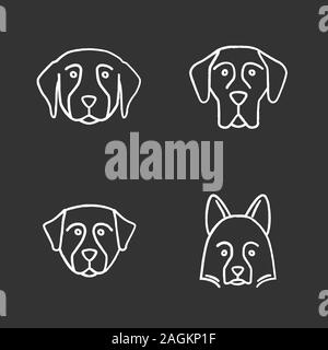 Craie chiens races icons set. Golden Retriever, dogue, Bernese Mountain Dog, Shetland Sheepdog. Illustrations vectorielles chalkboard Illustration de Vecteur