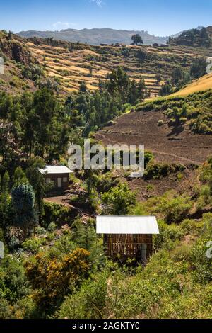 L'Éthiopie, région d'Amhara, Lalibela, Yemrehanna Kristos village, l'agriculture, de l'hébergement dans les gorges rocheuses ci-dessous les champs d'orge en terrasses prêt pour la récolte Banque D'Images