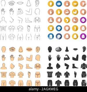 Les parties du corps humain icons set. L'anatomie. Les soins de santé. Design plat, linéaire, couleur et styles des glyphes isolés illustrations vectorielles. Illustration de Vecteur