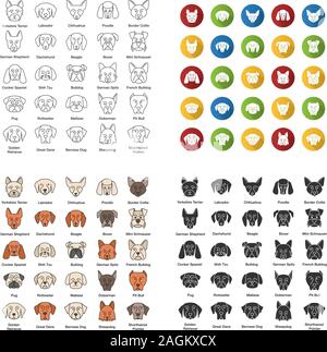 Chiens races icons set. Canins. Guide, Guardian, la chasse, l'élevage des chiens. Design plat, linéaire, couleur et glyphe de styles. Illustrations vectorielles Illustration de Vecteur