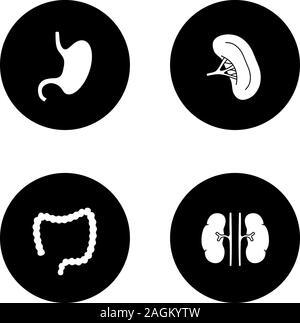 Les organes internes glyphe icons set. L'estomac, les reins, le gros intestin, rate. Vector silhouettes blanc illustrations de cercles noirs Illustration de Vecteur