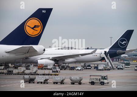 20 décembre 2019, Hessen, Frankfurt/Main : Lufthansa avion de passagers sont en attente à l'enregistrement au Terminal 1. Dans les prochains jours, les exploitants des aéroports s'attendre à une augmentation du nombre de passagers. Photo : Boris Roessler/dpa Banque D'Images