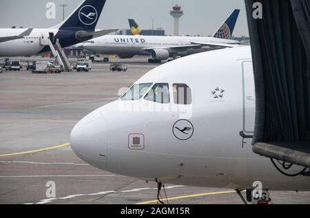 20 décembre 2019, Hessen, Frankfurt/Main : Lufthansa avion de passagers sont en attente à l'enregistrement au Terminal 1. Dans les prochains jours, les exploitants des aéroports s'attendre à une augmentation du nombre de passagers. Photo : Boris Roessler/dpa Banque D'Images