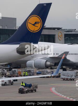 20 décembre 2019, Hessen, Frankfurt/Main : Lufthansa avion de passagers sont en attente à l'enregistrement au Terminal 1. Dans les prochains jours, les exploitants des aéroports s'attendre à une augmentation du nombre de passagers. Photo : Boris Roessler/dpa Banque D'Images