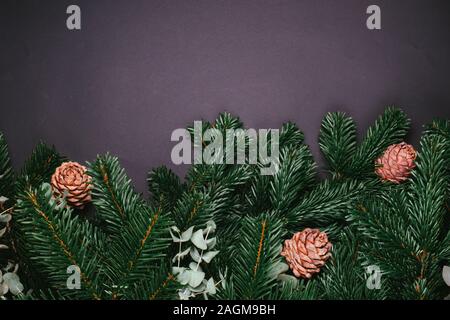 Branches vertes de l'arbre de Noël avec les cônes de pin sur le fond noir Banque D'Images