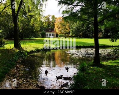 Grand jardin avec étang à canards et meadow et petite maison Banque D'Images