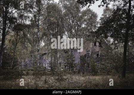 Ancien bâtiment abandonné avec de la mousse qui grandit dans la chambre entourée par les arbres Banque D'Images