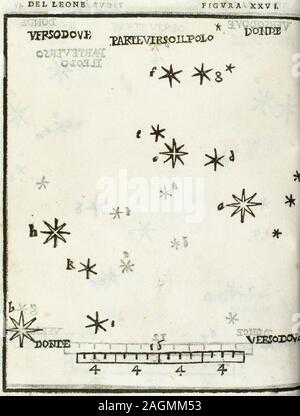 Alessandro Piccolomini (1508-1578). L'astronome italien et humaniste. "Constellation Leo'. De le stelle fisse (la sphère du monde et les étoiles fixes). Édité à Venise, 1540. Gravure,1559. Banque D'Images