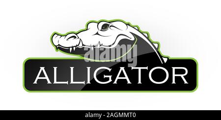 Alligator sur un fond blanc. Vector illustration Illustration de Vecteur