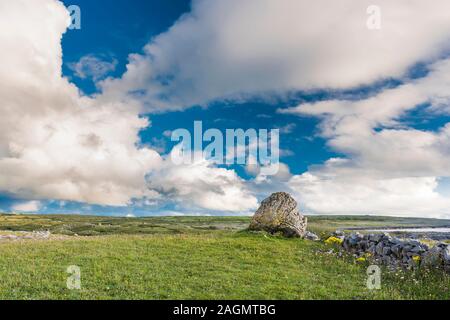 De grands blocs erratiques derrière un mur de pierre à Poulsallagh près de la côte atlantique du Burren, comté de Clare, Irlande Banque D'Images