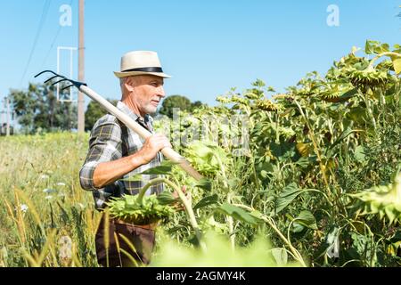 Portrait of man holding indépendants près de rack green field Banque D'Images