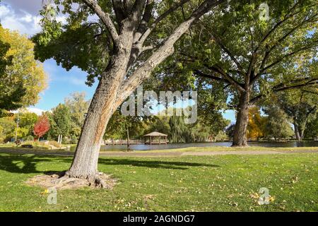 Après-midi paisible dans un parc local sur Octobre à Bishop, en Californie Banque D'Images