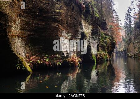 Rivière avec les feuilles d'automne et de rochers sur la rivière Kamenice Bohemian en Suisse. Près de la gorge sauvage. Banque D'Images