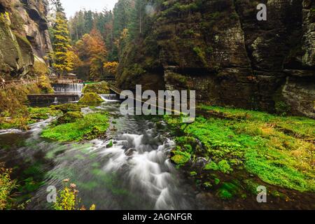 Rivière avec les feuilles d'automne et de rochers sur la rivière Kamenice Bohemian en Suisse. Près de la gorge sauvage. Banque D'Images
