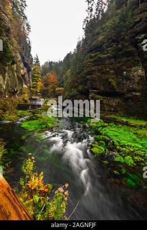Rivière avec les feuilles d'automne et de rochers sur la rivière Kamenice Bohemian en Suisse. Près de la gorge sauvage. Banque D'Images