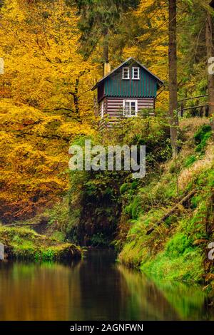 Rivière avec les feuilles d'automne et en refuge sur la rivière Kamenice Bohemian en Suisse. Près de la gorge sauvage. Banque D'Images