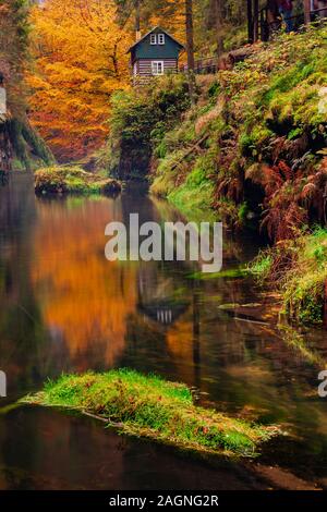 Rivière avec les feuilles d'automne et en refuge sur la rivière Kamenice Bohemian en Suisse. Près de la gorge sauvage. Banque D'Images
