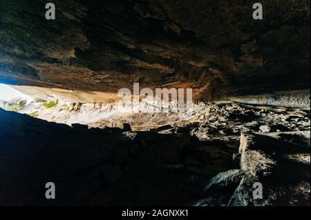 Milodon dans le parc national Torres del Paine, Chili Banque D'Images