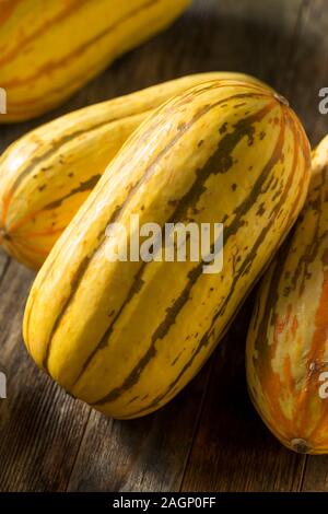 Matières organiques jaune prêt à cuire la courge Delicata Banque D'Images