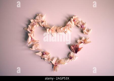 Joyeux Anniversaire Carte Avec Orchidee Rose Photo Stock Alamy