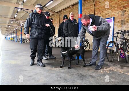 Kings Lynn, Norfolk, Royaume-Uni. 18Th Oct, 2019. Le gestionnaire de la gare accueille les chiens de recherche de la police de vérifier la station avant de la reine Elizabeth II arrive, sur un service public train, à la gare de Kings Lynn à commencer ses vacances de Noël annuel à Sandringham, Norfolk. Il n'est pas rare que le monarque d'utiliser les transports publics lorsqu'elle voyage à Kings Lynn. La reine Elizabeth II arrive pour sa maison de Sandringham, près de Kings Lynn, Norfolk, le 20 décembre 2019. Crédit : Paul Marriott/Alamy Live News Banque D'Images