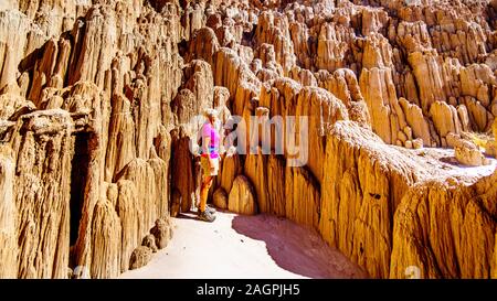 Randonnée à travers les spectaculaires et des motifs uniques de la fente de canyons et de cheminées de l'argile de bentonite volcanique douce Dans Cathedral Grove State Park, NV, USA Banque D'Images