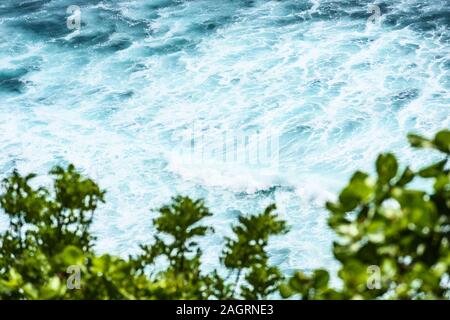 (Selective focus) Vue de dessus, superbe vue aérienne de certaines vagues de l'océan en arrière-plan flou et végétation luxuriante au premier plan. Banque D'Images