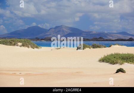 Dunes de sable de Corralejo, Fuerteventura, Îles Canaries. Banque D'Images