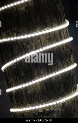 Tronc de l'arbre est entouré d'une bande de LED blanche Banque D'Images