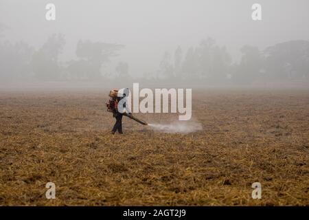 DHAKA, BANGLADESH - 21 décembre 2019 : Un homme s'étend sur les terres cultivées de la médecine les pesticides. Banque D'Images