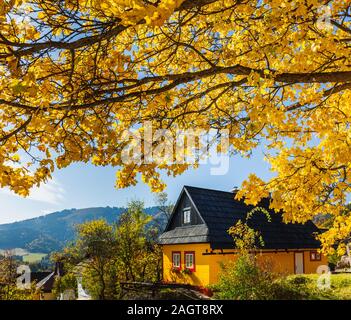 Les feuilles d'automne jaune près de Maison dans village Vlkolinec dans le nord de la Slovaquie. Un village du patrimoine de l'Unesco bien préservé avec des maisons en bois. Banque D'Images