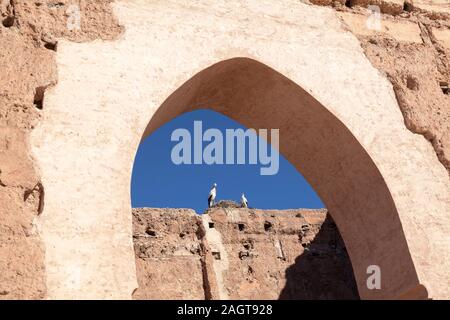 Maroc, Marrakech, cigognes dans le nid sur le toit au Palais la Bahia. Banque D'Images