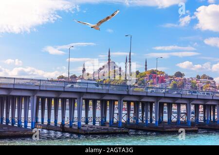 Un oiseau survolant le pont Atatürk et la mosquée de Soliman à Istanbul, l'arrière-plan Banque D'Images