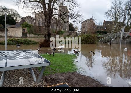 Maidstone, Kent, Angleterre - 21 Dec 2019 : Centre Ville et Lockmeadow Millenium Bridge pendant l'inondation. Banque D'Images