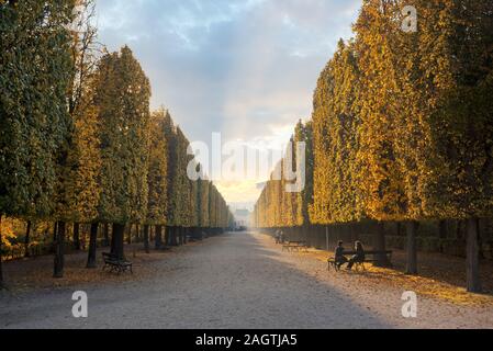 Dans l'allée du parc régulier de Schönbrunn (Schönbrunn) au coucher du soleil. Vienne, Autriche Banque D'Images