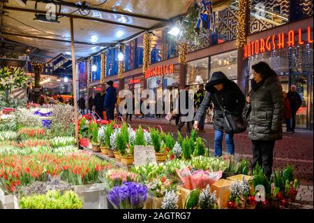 La Suède, Stockholm, le 18 décembre 2019 : ambiance de Noël de la ville. Fleurs Noël vente à la place Haymarket, dans le centre de Stockholm. Tra d'hiver Banque D'Images