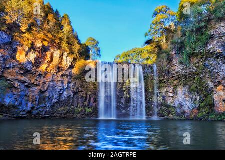 La section inférieure du pittoresque Dangar falls tomber à l'eau douce extérieure coupant à travers les roches volcanique dans le parc national de Dorrigo sous ciel bleu clair dans Banque D'Images