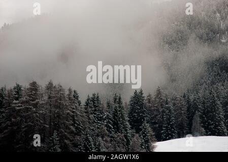 Une forêt enneigée dans les montagnes avec des nuages bas. Banque D'Images