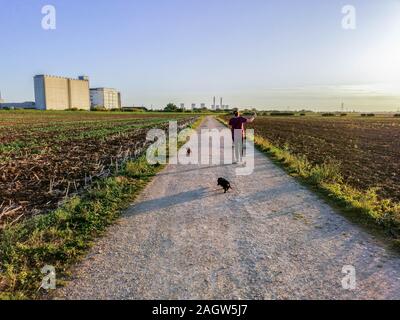 Une belle soirée d'été sur la terre campagne, dans les champs d'herbe et de terre labourée au coucher du soleil dans l'arrière-plan. Banque D'Images